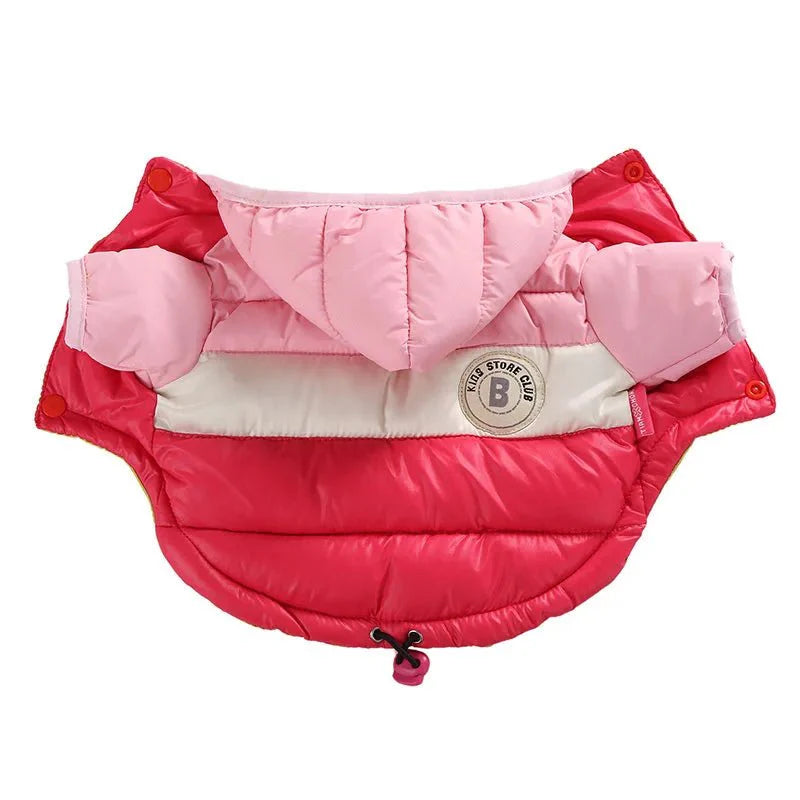 https://cdn.shopify.com/s/files/1/0647/9170/7830/files/doudoune-pour-chihuahua-1823835.webp?v=1777925126