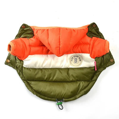 https://cdn.shopify.com/s/files/1/0647/9170/7830/files/doudoune-pour-chihuahua-2947190.webp?v=1777925121