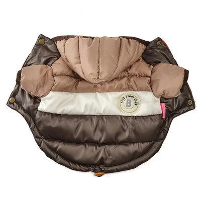 https://cdn.shopify.com/s/files/1/0647/9170/7830/files/doudoune-pour-chihuahua-6188233.webp?v=1777925120