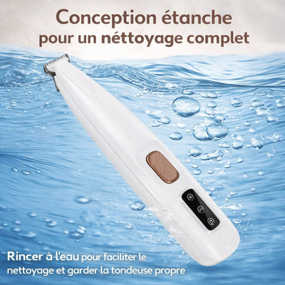 https://cdn.shopify.com/s/files/1/0489/2898/1148/files/etanchefr.jpg?v=1767684794