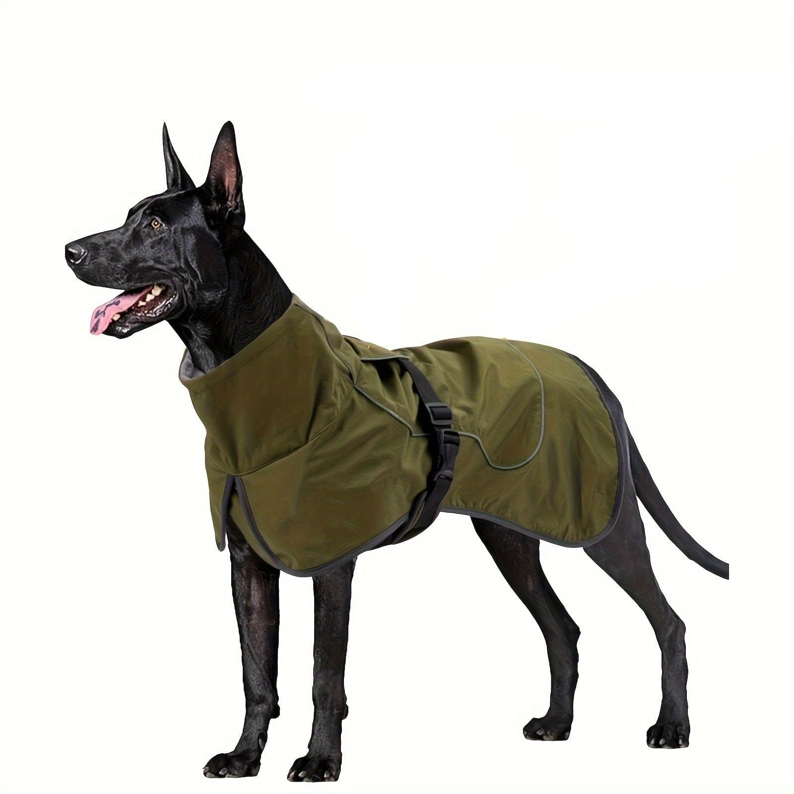 https://cdn.shopify.com/s/files/1/0489/2898/1148/files/f9a76651-740c-4ff1-8c49-b4207b742eb3.jpg?v=1755705245
