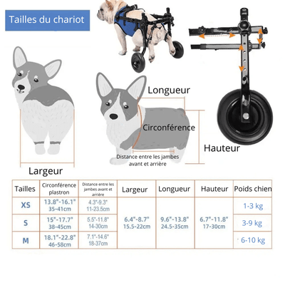 https://cdn.shopify.com/s/files/1/0647/9170/7830/files/fauteil-roulant-pattes-arrieres-pour-chien-2189788.png?v=1777925530