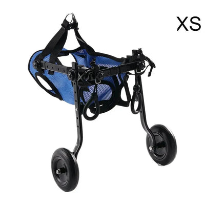 https://cdn.shopify.com/s/files/1/0647/9170/7830/files/fauteil-roulant-pattes-arrieres-pour-chien-5683757.webp?v=1777925530