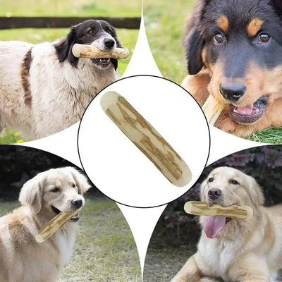 https://cdn.shopify.com/s/files/1/0647/9170/7830/files/faux-baton-pour-chiot-3401105.webp?v=1777925590