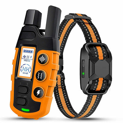 https://cdn.shopify.com/s/files/1/0489/2898/1148/files/for_1_dog.jpg?v=1772803933