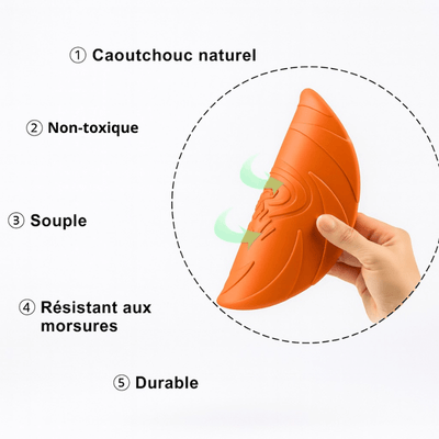 https://cdn.shopify.com/s/files/1/0647/9170/7830/files/frisbee-durable-pour-chien-8597531.png?v=1777923913