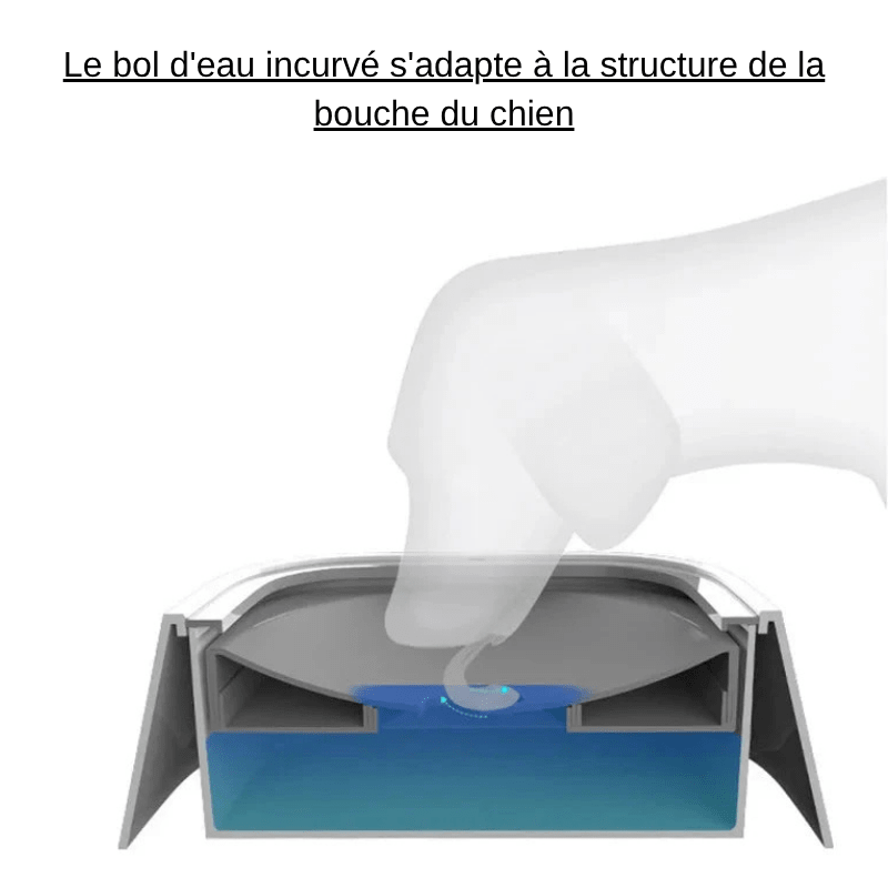 https://cdn.shopify.com/s/files/1/0647/9170/7830/files/gamelle-a-eau-pour-chien-9458127.webp?v=1777925357