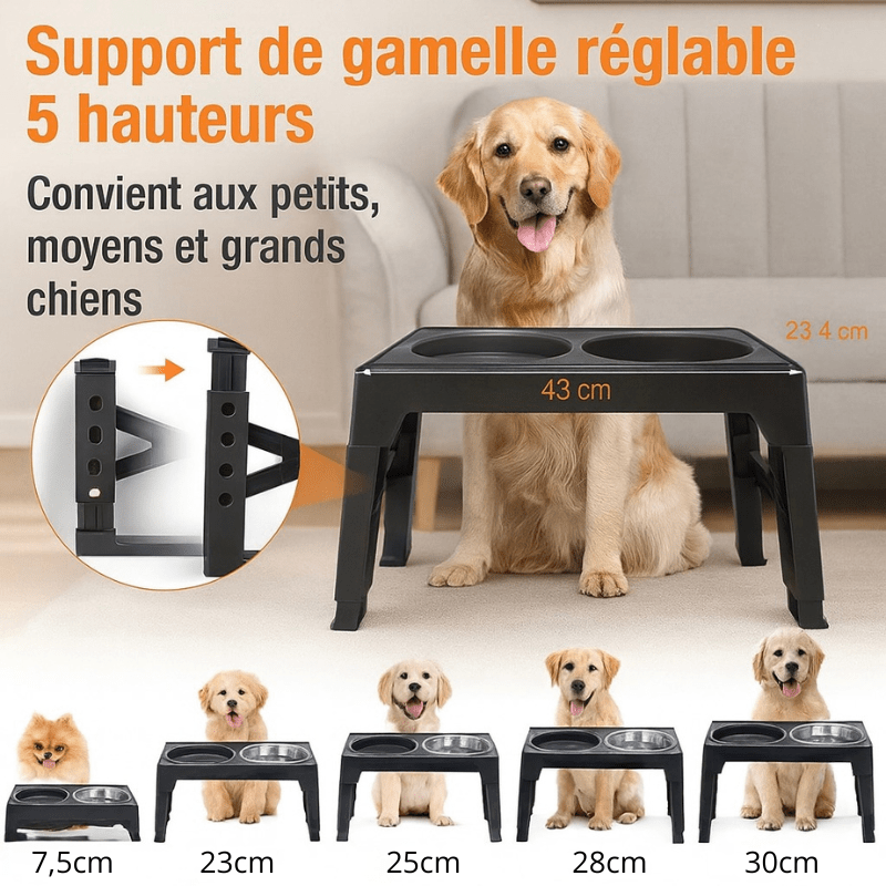 https://cdn.shopify.com/s/files/1/0647/9170/7830/files/gamelle-ajustable-pour-grand-chien-1668519.webp?v=1777925468