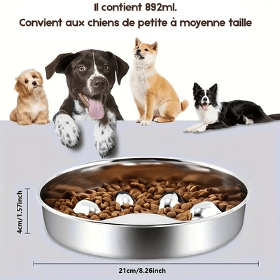 https://cdn.shopify.com/s/files/1/0647/9170/7830/files/gamelle-anti-glouton-pour-chien-en-inox-9751394.png?v=1777925588