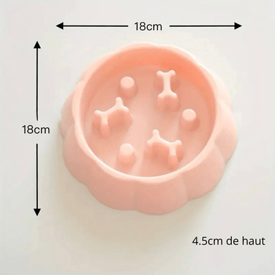https://cdn.shopify.com/s/files/1/0647/9170/7830/files/gamelle-anti-glouton-pour-petit-chien-6164645.png?v=1777924755