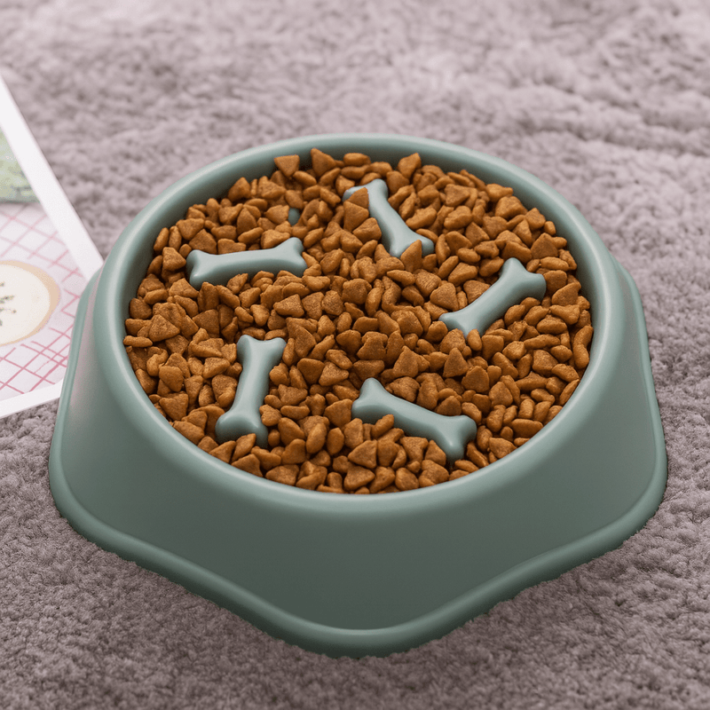 https://cdn.shopify.com/s/files/1/0647/9170/7830/files/gamelle-anti-goinfre-pour-chien-1017047.webp?v=1777924637