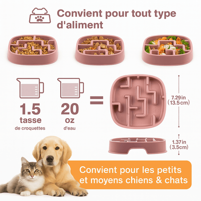 https://cdn.shopify.com/s/files/1/0647/9170/7830/files/gamelle-anti-goinfre-pour-gros-chien-6312133.png?v=1777924695