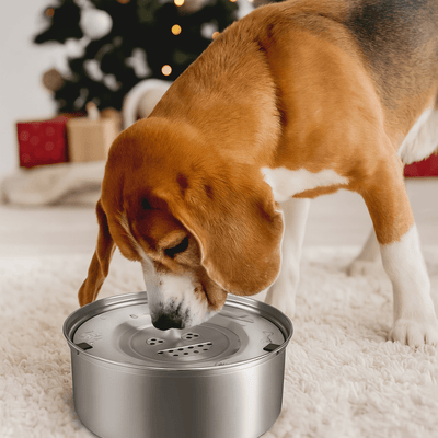 https://cdn.shopify.com/s/files/1/0647/9170/7830/files/gamelle-chien-a-eau-automatique-5844209.png?v=1777925116