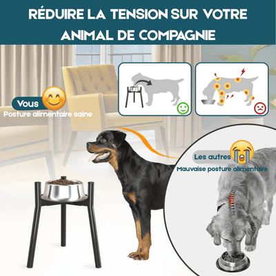 https://cdn.shopify.com/s/files/1/0647/9170/7830/files/gamelle-pour-chien-en-hauteur-design-3424456.png?v=1777924877