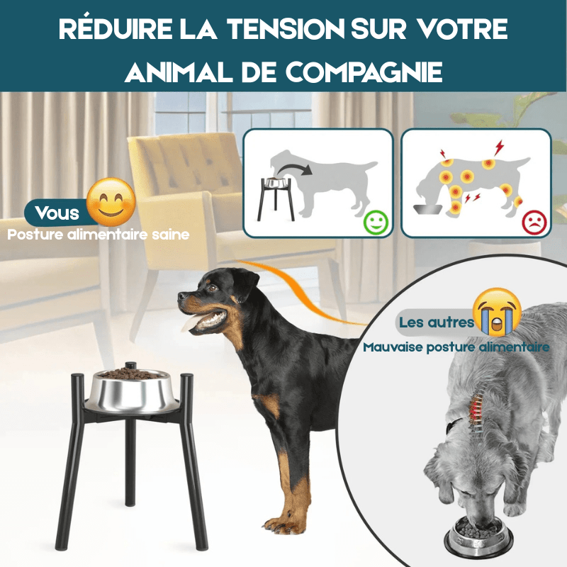 https://cdn.shopify.com/s/files/1/0647/9170/7830/files/gamelle-pour-chien-en-hauteur-design-9810427.png?v=1777924878