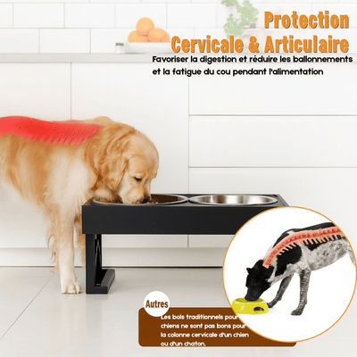 https://cdn.shopify.com/s/files/1/0647/9170/7830/files/gamelle-pour-chien-reglable-en-hauteur-2544497.png?v=1777924872
