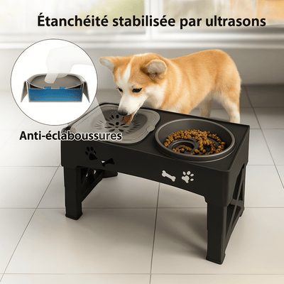 https://cdn.shopify.com/s/files/1/0647/9170/7830/files/gamelle-pour-chien-reglable-en-hauteur-4646682.png?v=1777924872