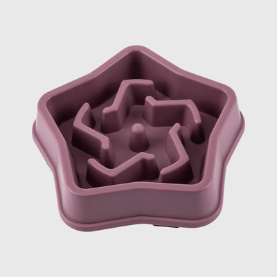 https://cdn.shopify.com/s/files/1/0763/9767/4819/files/gamelle_anti_glouton_pour_chien_violet.png?v=1749140180