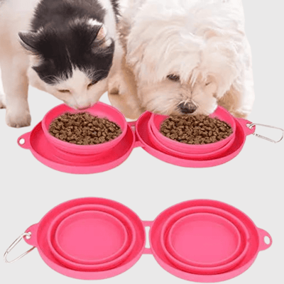 https://cdn.shopify.com/s/files/1/0763/9767/4819/files/gamelle_de_voyage_pour_chien_croquette.png?v=1750089144