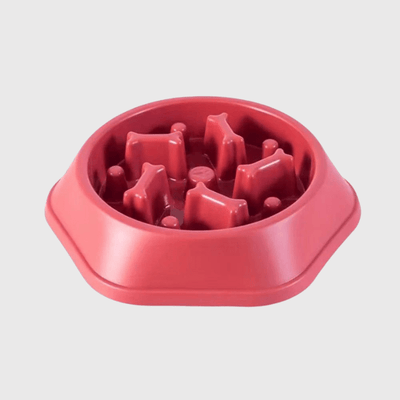 https://cdn.shopify.com/s/files/1/0763/9767/4819/files/gamelle_pour_chien_glouton_rose.png?v=1750086697