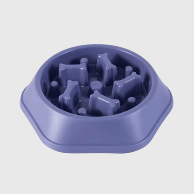 https://cdn.shopify.com/s/files/1/0763/9767/4819/files/gamelle_pour_chien_glouton_violet.png?v=1750086697