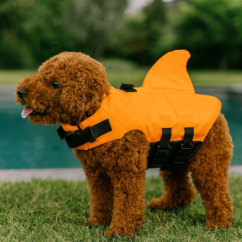https://cdn.shopify.com/s/files/1/0647/9170/7830/files/gilet-de-sauvetage-aileron-pour-chien-3652345.webp?v=1777925472