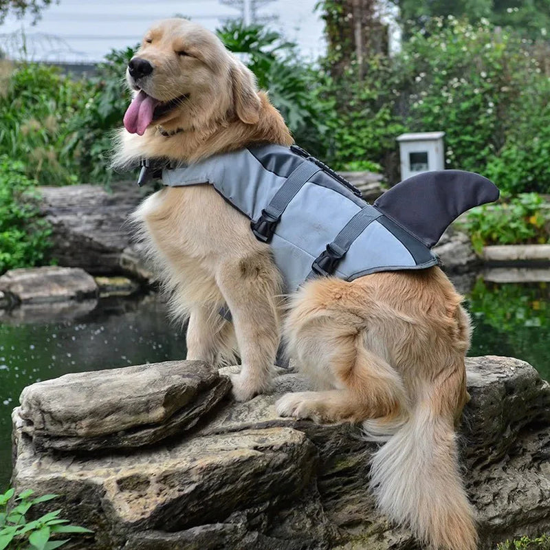 https://cdn.shopify.com/s/files/1/0647/9170/7830/files/gilet-de-sauvetage-chien-requin-2130524.webp?v=1777923968