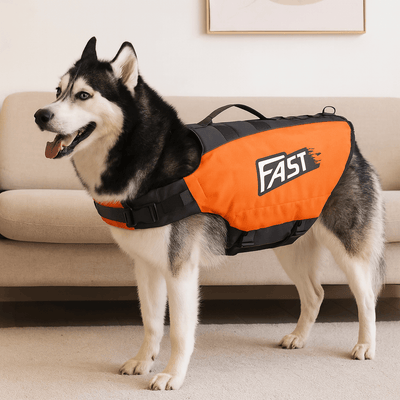 https://cdn.shopify.com/s/files/1/0647/9170/7830/files/gilet-de-sauvetage-dete-pour-chien-1511072.png?v=1777925176