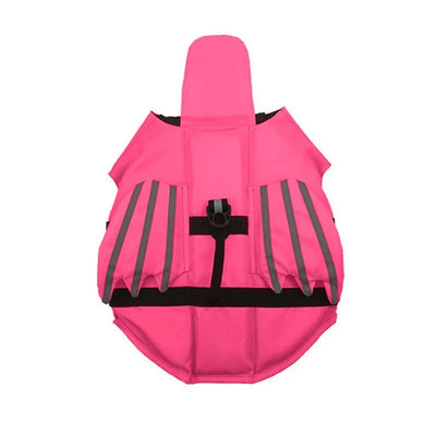 https://cdn.shopify.com/s/files/1/0647/9170/7830/files/gilet-de-sauvetage-dragon-pour-chien-3055002.webp?v=1777925416
