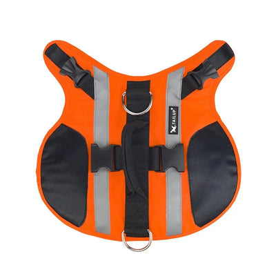 https://cdn.shopify.com/s/files/1/0647/9170/7830/files/gilet-de-sauvetage-reflechissant-pour-chien-2752404.webp?v=1777925528