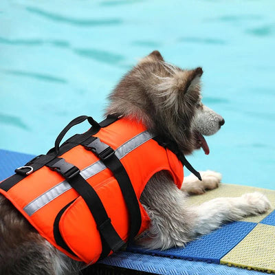 https://cdn.shopify.com/s/files/1/0647/9170/7830/files/gilet-de-sauvetage-reflechissant-pour-chien-3758021.webp?v=1777925528