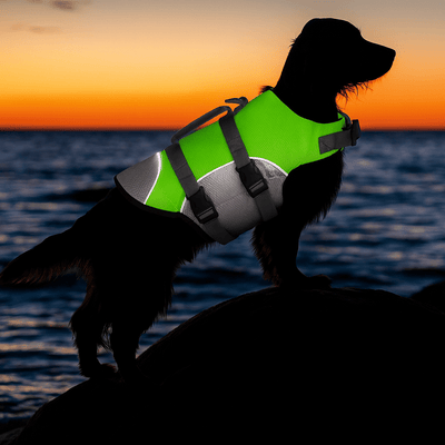 https://cdn.shopify.com/s/files/1/0647/9170/7830/files/gilet-de-sauvetage-reflechissant-pour-chien-8619859.png?v=1777925116