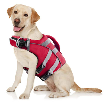https://cdn.shopify.com/s/files/1/0647/9170/7830/files/gilet-de-securite-pour-chien-3990428.webp?v=1777925288