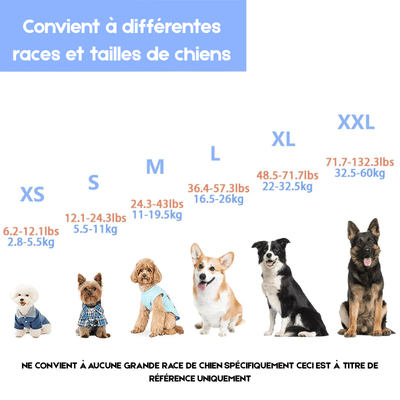 https://cdn.shopify.com/s/files/1/0647/9170/7830/files/gilet-de-securite-pour-chien-7761987.png?v=1777925289