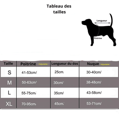 https://cdn.shopify.com/s/files/1/0763/9767/4819/files/gilet_de_baignade_pour_chien_Taille.png?v=1753792687
