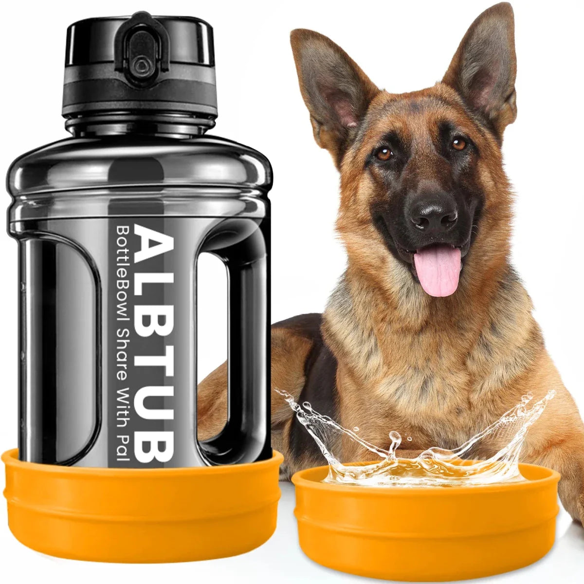 https://cdn.shopify.com/s/files/1/0647/9170/7830/files/gourde-avec-gamelle-pour-chien-6984429.webp?v=1777923188