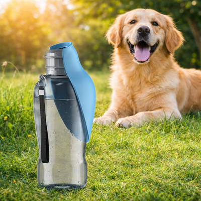 https://cdn.shopify.com/s/files/1/0763/9767/4819/files/gourde-pour-chien-paradischien.png?v=1773416425