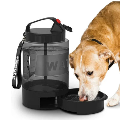 https://cdn.shopify.com/s/files/1/0647/9170/7830/files/gourde-pour-gros-chien-2488529.webp?v=1777923612