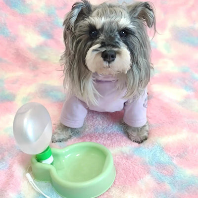 https://cdn.shopify.com/s/files/1/0647/9170/7830/files/gourde-pour-petit-chien-5527990.webp?v=1777923189
