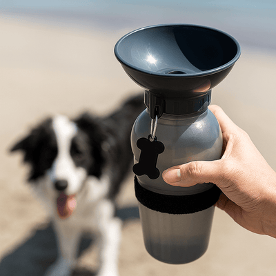 https://cdn.shopify.com/s/files/1/0647/9170/7830/files/gourde-transportable-pour-chien-1531141.png?v=1777924812