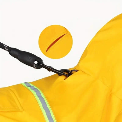 https://cdn.shopify.com/s/files/1/0647/9170/7830/files/grand-impermeable-pour-grand-chien-5053121.webp?v=1777925176