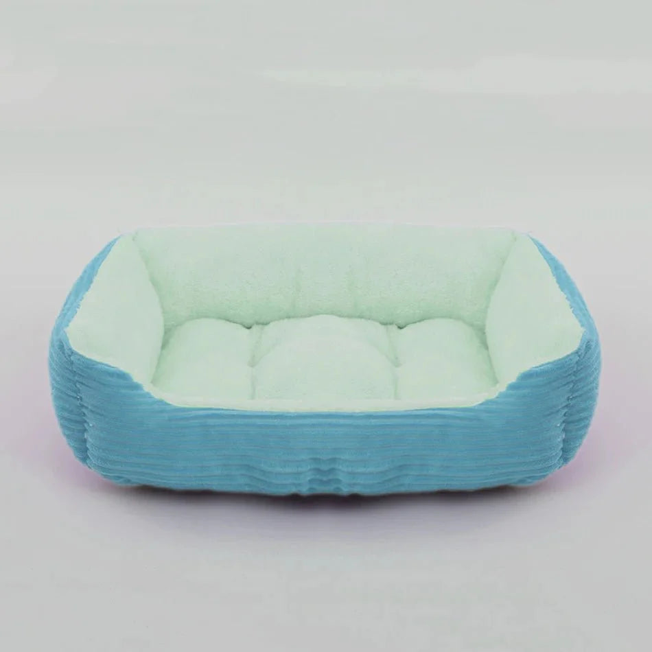 https://cdn.shopify.com/s/files/1/0647/9170/7830/files/grand-panier-pour-chien-xxl-vert-et-bleu-2931893.webp?v=1777924216