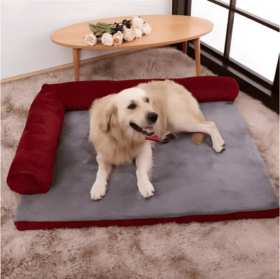 https://cdn.shopify.com/s/files/1/0647/9170/7830/files/grand-tapis-avec-coussin-pour-chien-3373251.png?v=1777925054