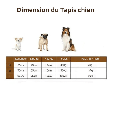 https://cdn.shopify.com/s/files/1/0647/9170/7830/files/grand-tapis-avec-coussin-pour-chien-7410900.png?v=1777925053