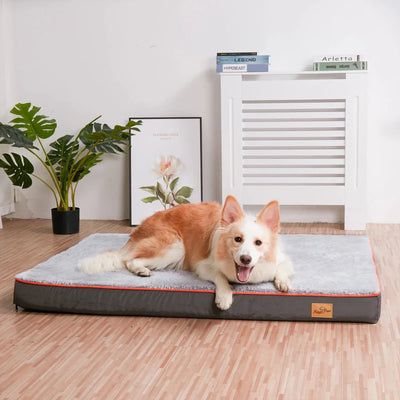 https://cdn.shopify.com/s/files/1/0647/9170/7830/files/grand-tapis-lavable-pour-chien-8398597.webp?v=1777925411