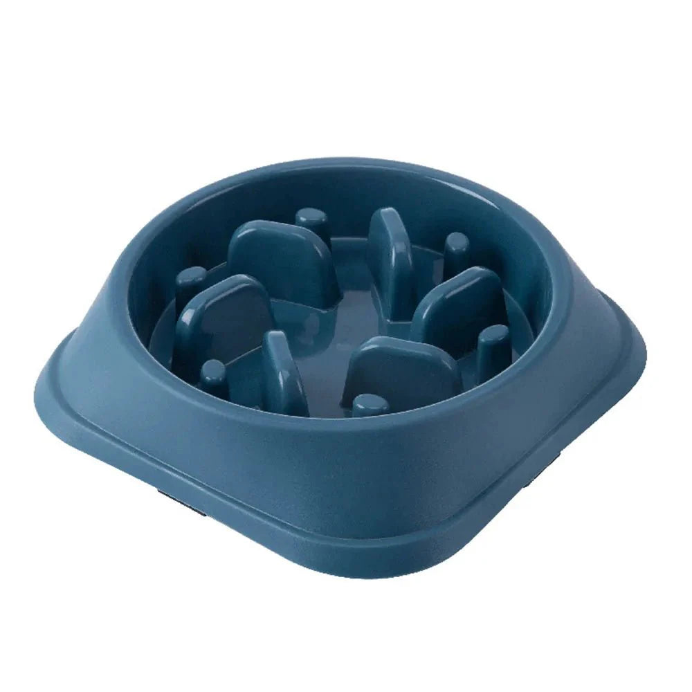 https://cdn.shopify.com/s/files/1/0647/9170/7830/files/grosse-gamelle-chien-pour-anti-morfale-5799743.webp?v=1777923850