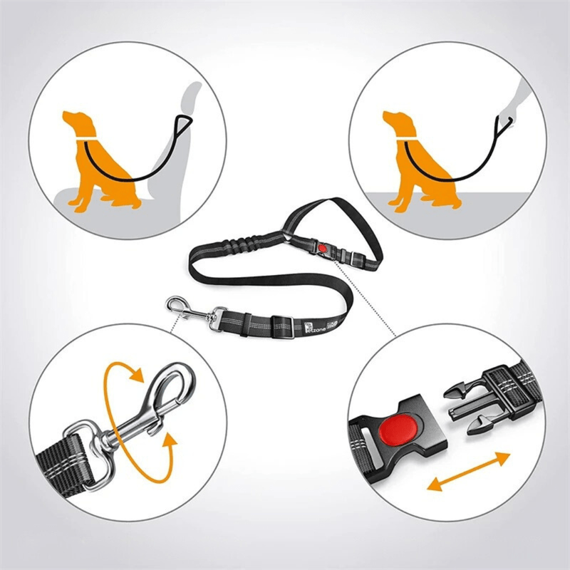 https://cdn.shopify.com/s/files/1/0489/2898/1148/files/main-image-6_034f5d7c-d69b-45da-8b40-1a9cd487cdb0.jpg?v=1745075223