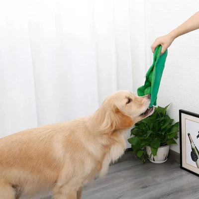 https://cdn.shopify.com/s/files/1/0647/9170/7830/files/haricot-de-fouille-pour-chien-2843589.webp?v=1777924696