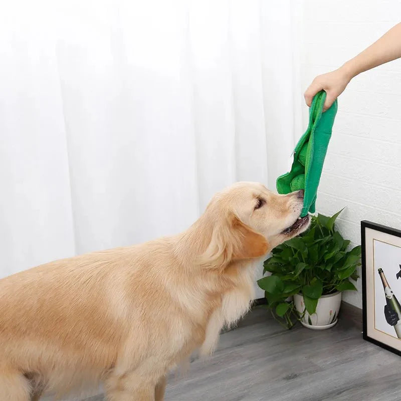 https://cdn.shopify.com/s/files/1/0647/9170/7830/files/haricot-de-fouille-pour-chien-4904673.webp?v=1777924696