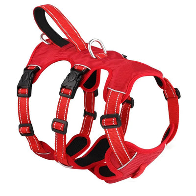 https://cdn.shopify.com/s/files/1/0647/9170/7830/files/harnais-3-point-chien-9638838.webp?v=1777923250